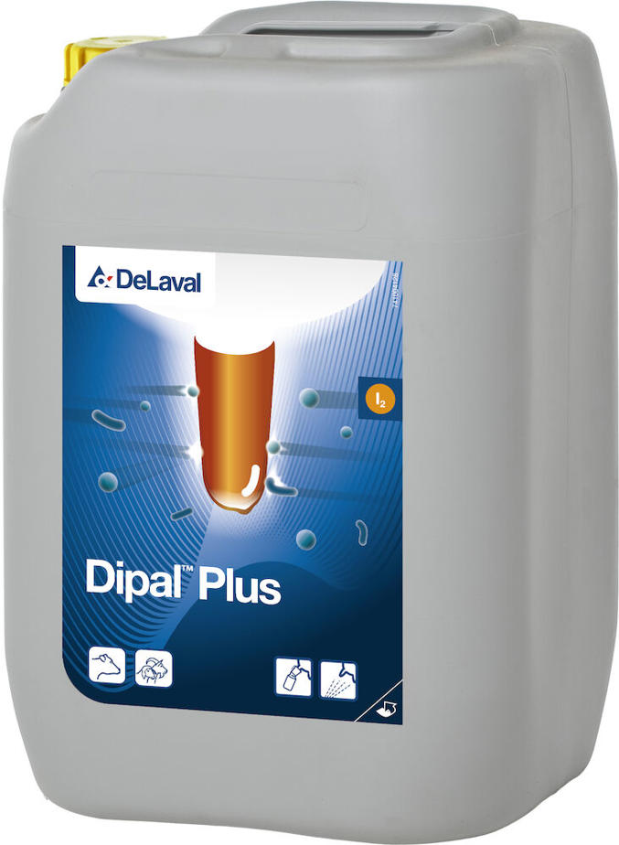 Dipal Plus