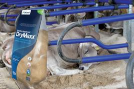 DryMaxx™ kuivitusaine Tuotekuva