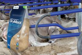 DryMaxx™ kuivitusaine Tuotekuva