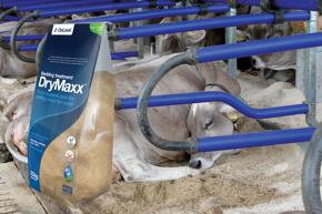 DryMaxx™ kuivitusaine Tuotekuva