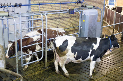 DeLaval třídicí branka DSG2