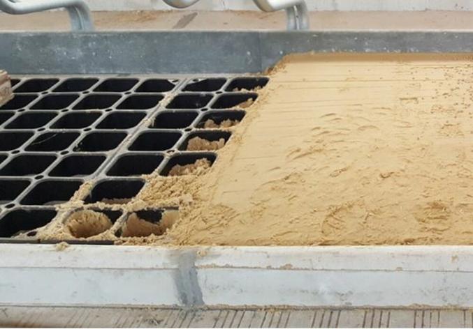 Stabilizzatore alveolare DSS11