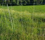 Galingas avių aptvaro tinklas