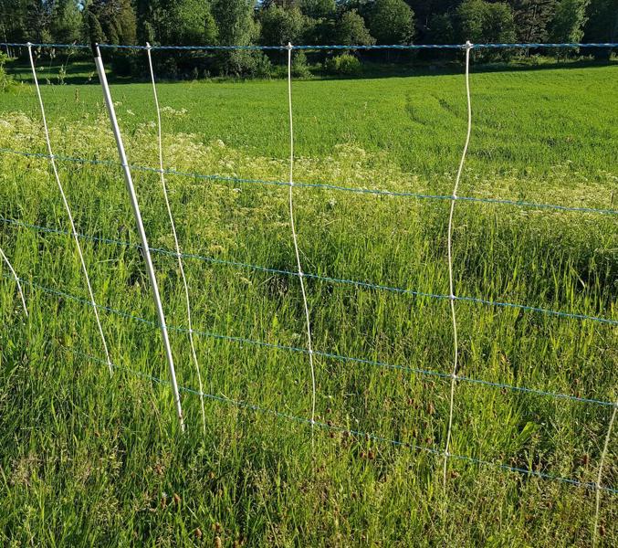 Galingas avių aptvaro tinklas