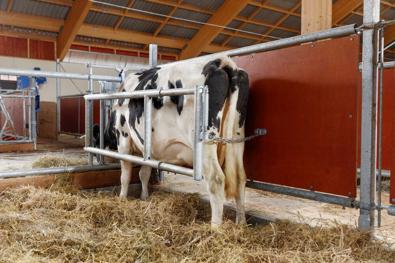 DeLaval Behandlingsfront
