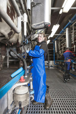 PVC-lypsyesiliina Tuotekuva