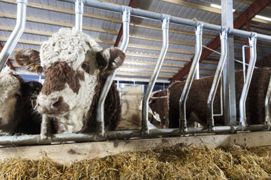 DeLaval diagonalfront DS