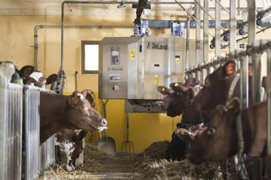 DeLaval yem vagonu FM