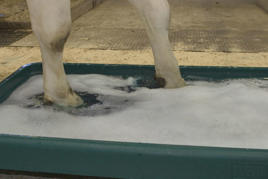 DeLaval PVC Footbath Product image
