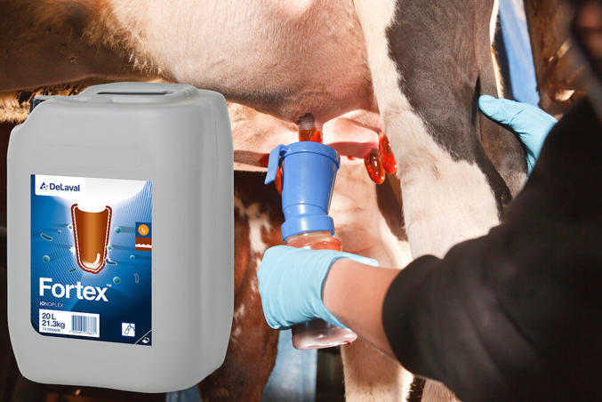 Fortex™ - gęsty jodowy środek do bardzo przesuszonych strzyków