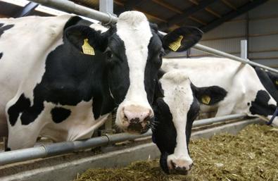 DeLaval fôrfront FT50