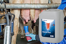 Hamra Red™ – środek do dezynfekcji strzyków po doju z zawartością chlorheksydyny Product image