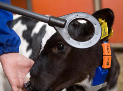 DeLaval hand held reader HHR