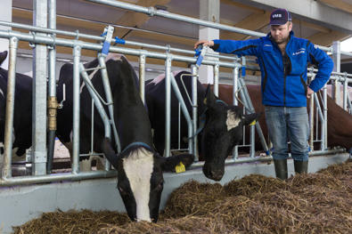 HL10 Lukittuva ruokinta-aita