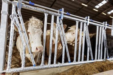 HL50 Lukittuva ruokinta-aita