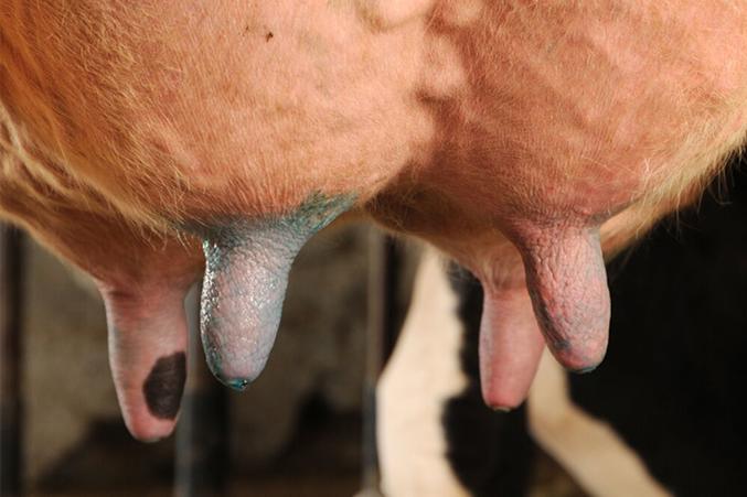 InstaMix Glycolic Concentrate