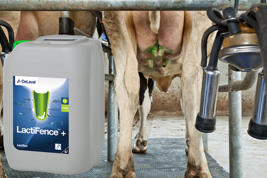 LactiFence™ + Bild des Produkts