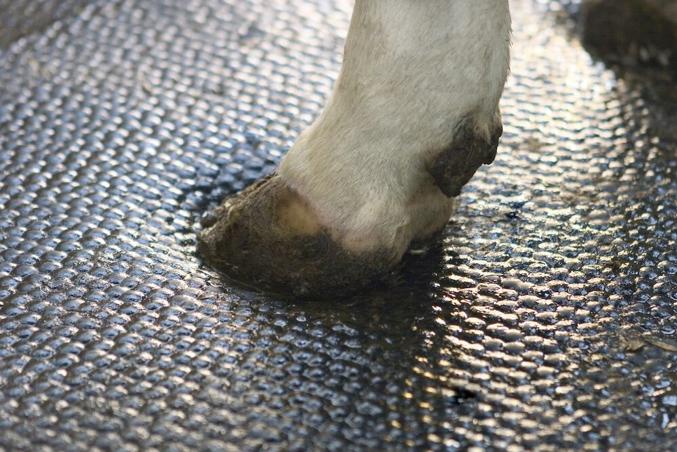 DeLaval cow mattress M40R