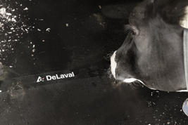 DeLaval cow mattress M45R Product image