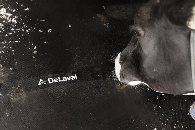 DeLaval cow mattress M45R