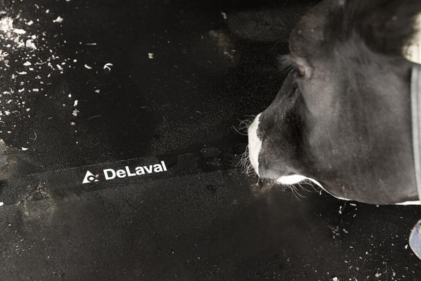 DeLaval madrass M45R