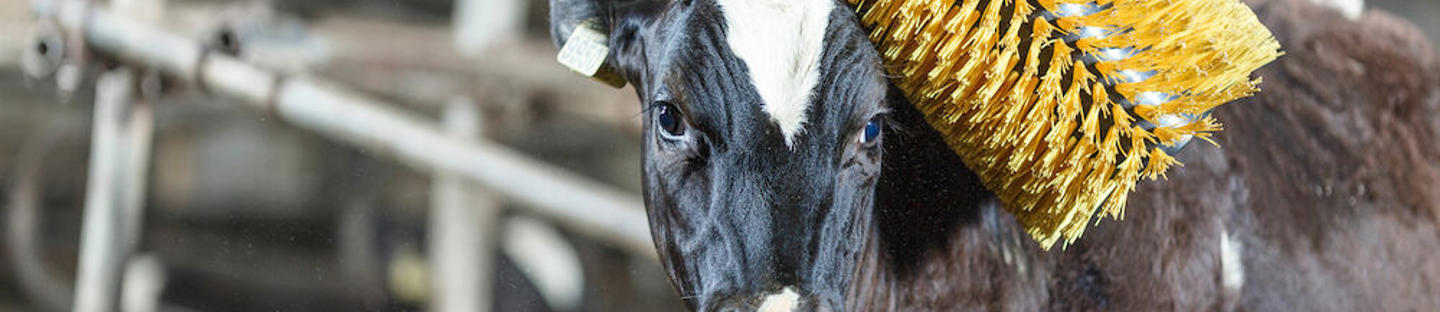 DeLaval mini swinging brush MSB