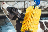 DeLaval mini swinging brush MSB