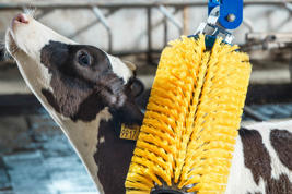 DeLaval mini swinging brush MSB Product image