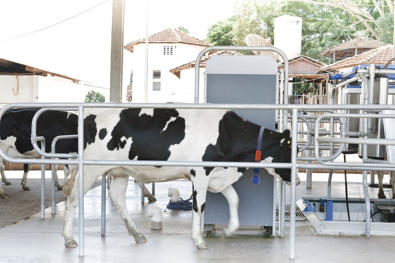 DeLaval ID-leser “walk by” IRW