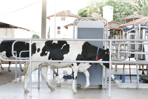 DeLaval walk-by reader IRW