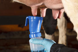 DeLaval Opti Blue™ teat cleaner Product image