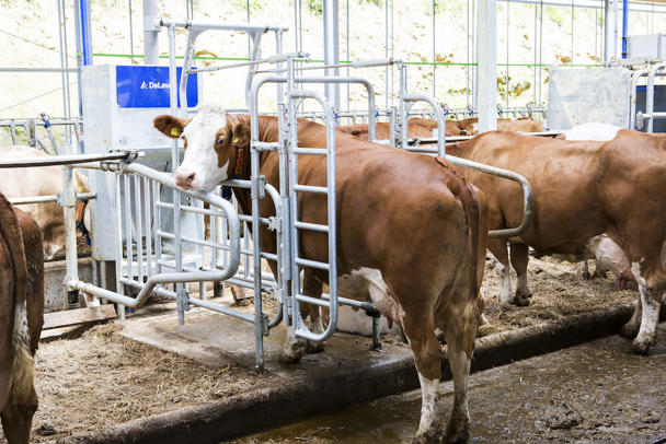 給餌ステーション オプティフィーダー OFP