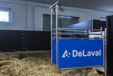 DeLaval vasikanjuottokarsina OptiFlex