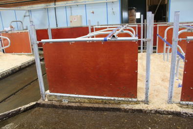 DeLaval bingeskille PW2 med plate