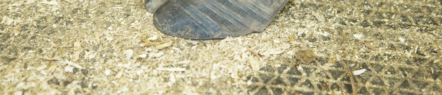 DeLaval båspallsmatta RM21BS