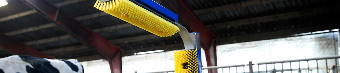 Spazzola fissa DeLaval