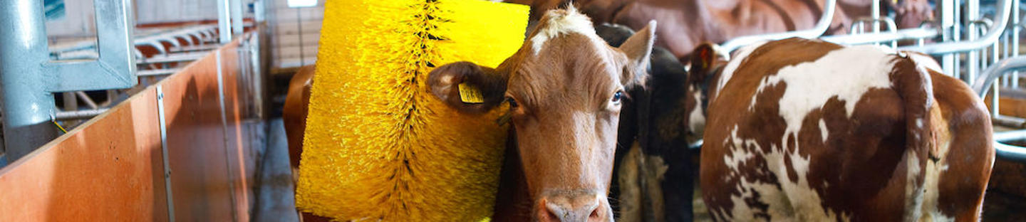 DeLaval swinging cow brush SCB