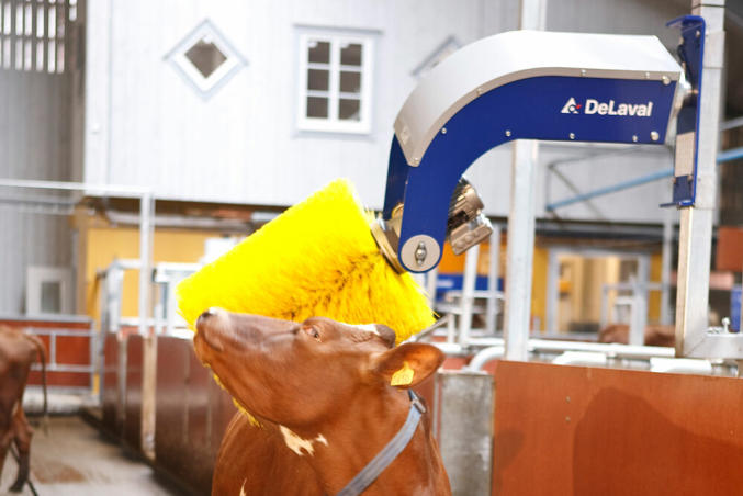 DeLavali õõtsuv sügamishari SCB3