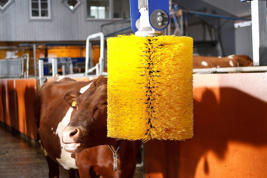 DeLaval swinging cow brush SCB Product image