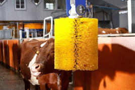 DeLaval svingende kubørste SCB Produktbilde