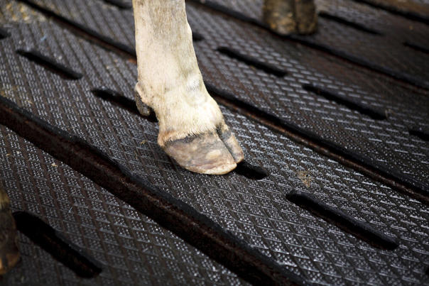 DeLaval gummimatte på spalt SFC