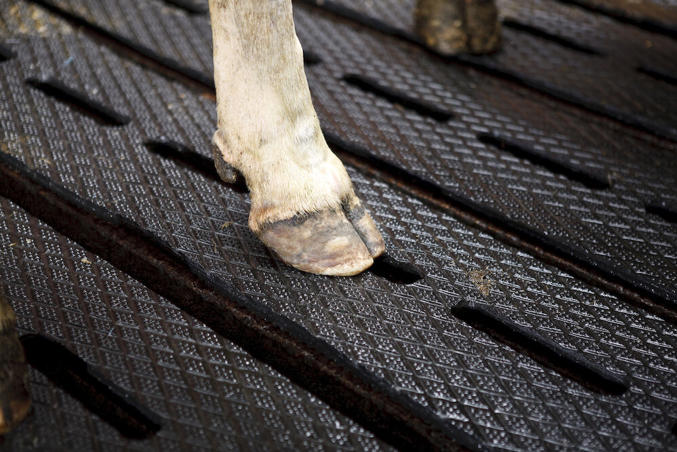 DeLaval podlahová krytina SFC