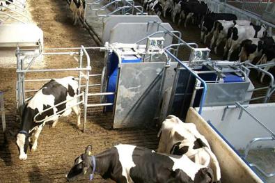 DeLaval Selektionstor Smart Gate SSG