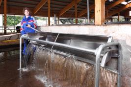 Abbeveratoio ribaltabile in acciaio ST-150/200/250 Prodotto immagine