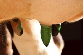 Titan Sprayable Barrier Product image