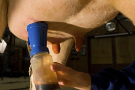 Triumph™ Product image