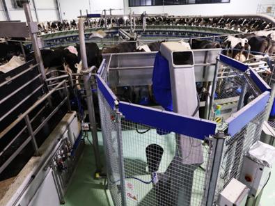 Hier ist der DeLaval Zitzensprühroboter TSR2 mit einem Karussell abgebildet