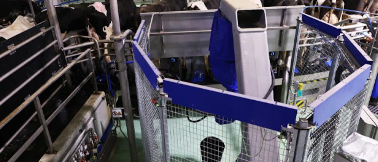 Hier ist der DeLaval Zitzensprühroboter TSR2 mit einem Karussell abgebildet