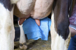Lavette UT507 DeLaval Image du produit