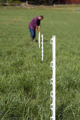 Plastikinis kuoliukas, paprastas, TPP10 Product image